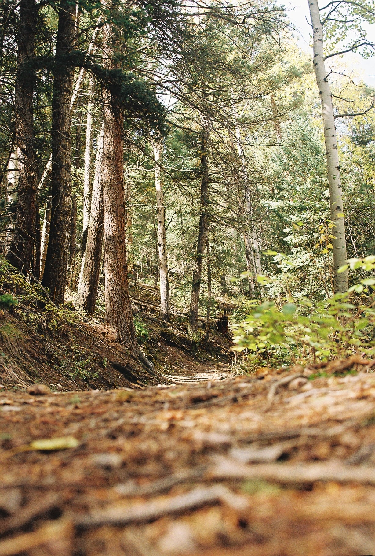 Fall_Hike_Q_Best_Photo_2025