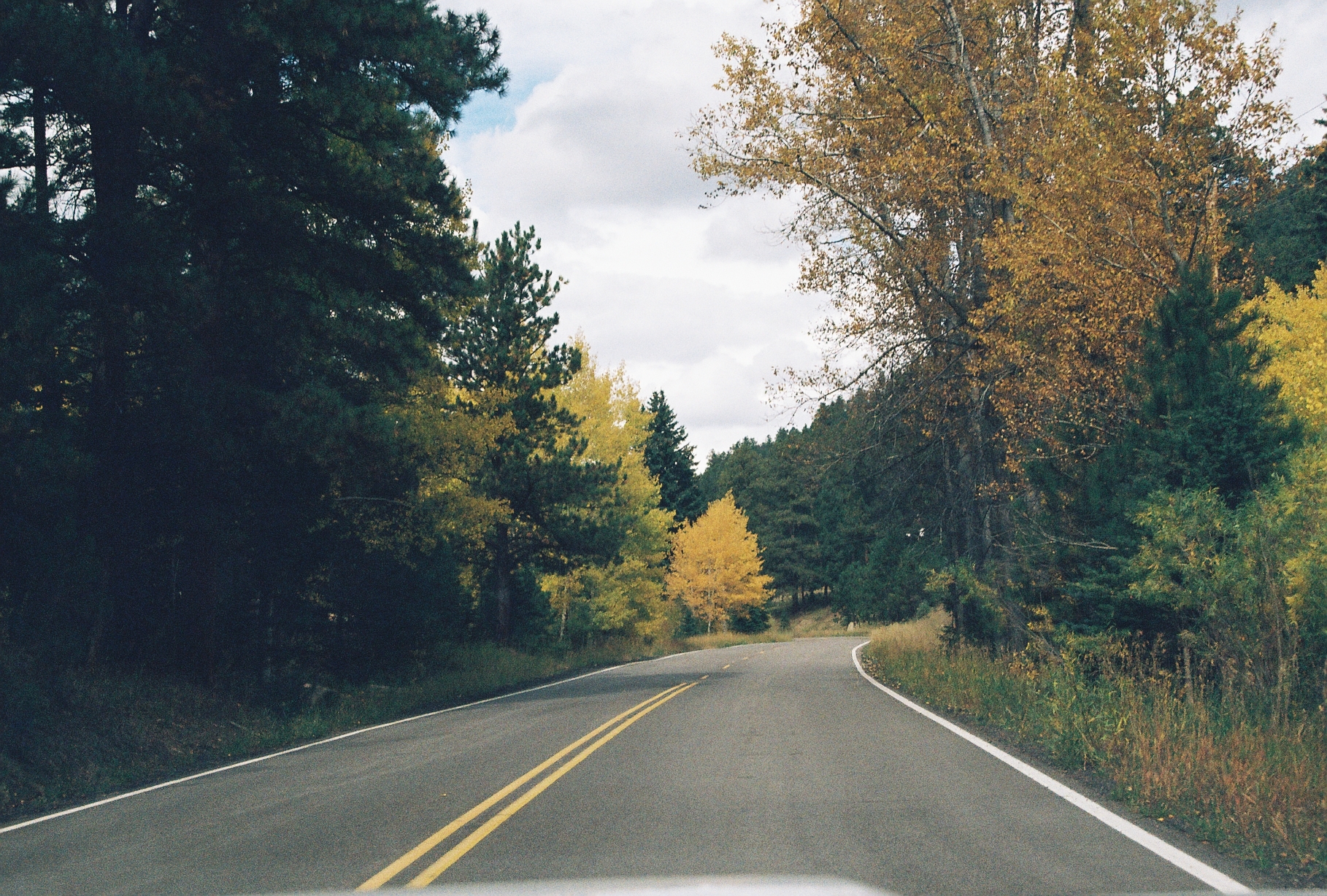 Film_Driving_Fall_25