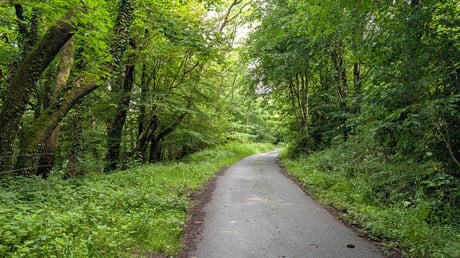 PXL_20260708_094153889
