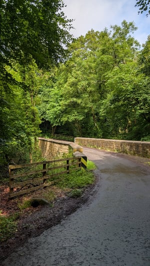 PXL_20260708_094400587