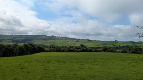 PXL_20260708_094708545.MP