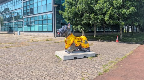 PXL_20260710_105411555
