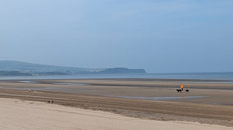 PXL_20260717_090833073.MP