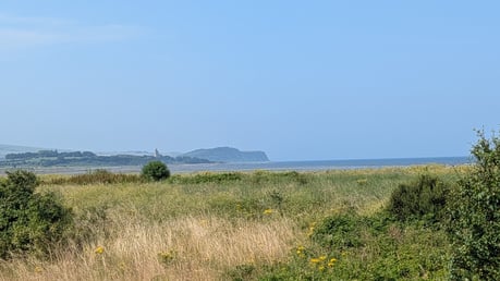 PXL_20260717_100524824