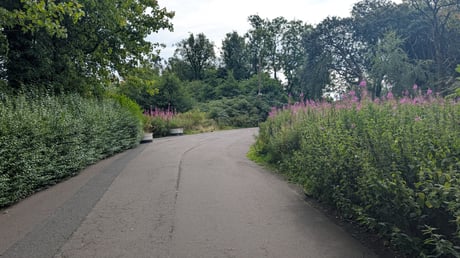 PXL_20260808_093231110