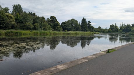 PXL_20260808_093400737.MP