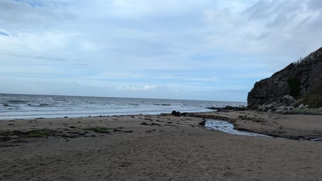 PXL_20260919_154531196.MP
