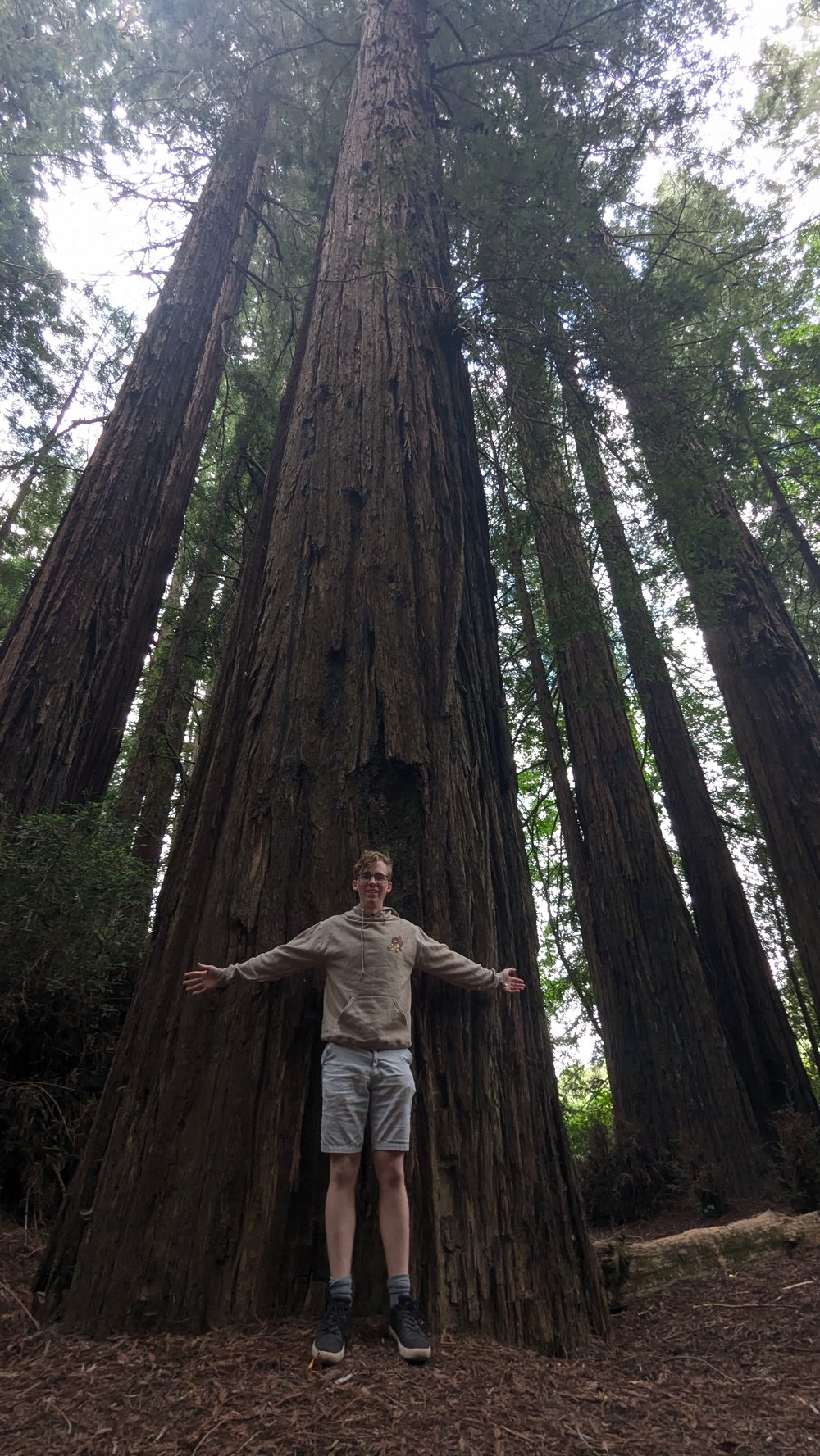 Road_Trip_25_Me_Redwood