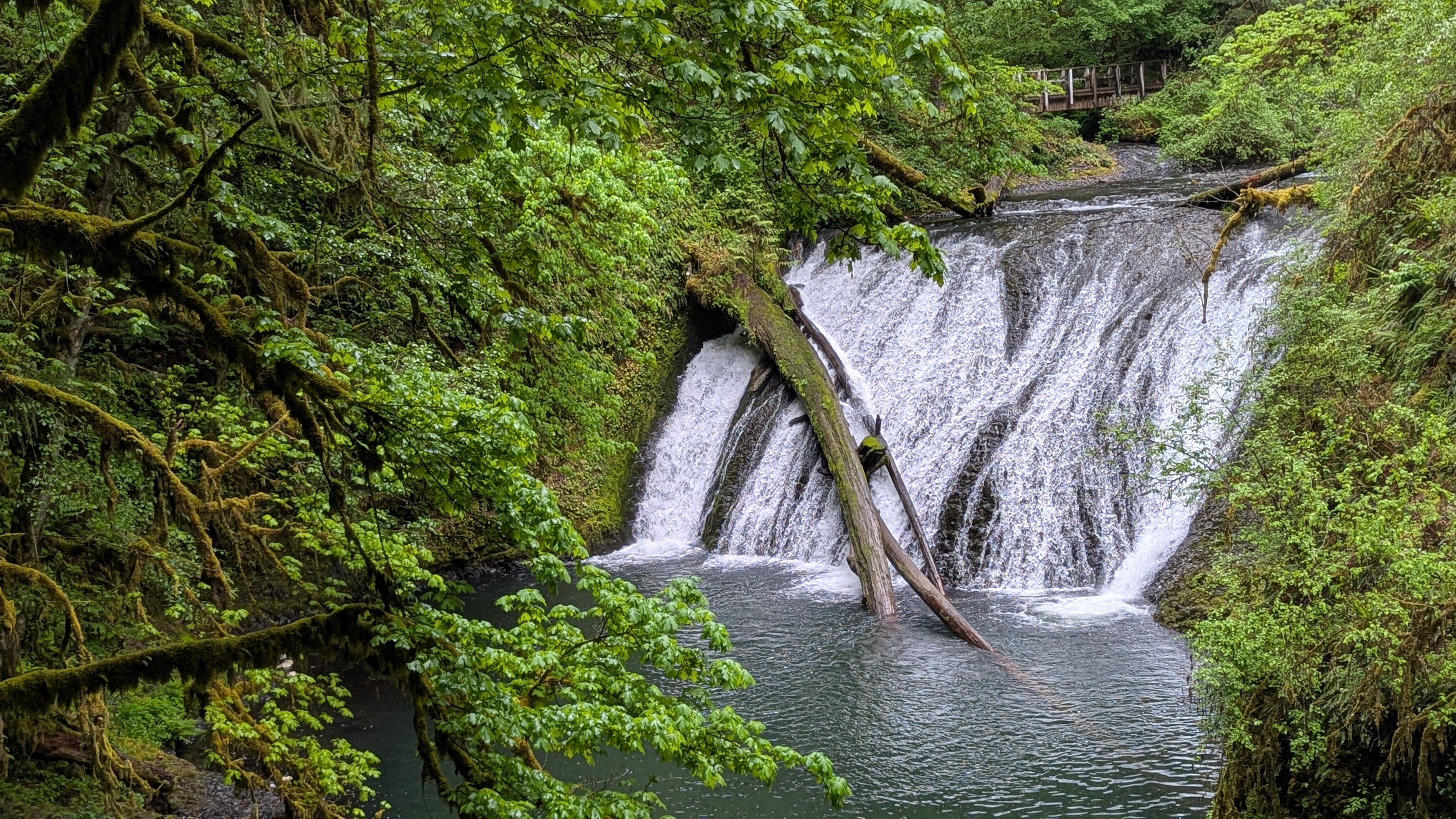 Road_Trip_25_Silverfalls_Waterfall_3